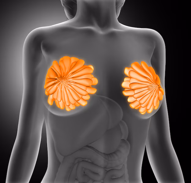 Tubuläre Brust Ursachen, Symptome und Behandlung​